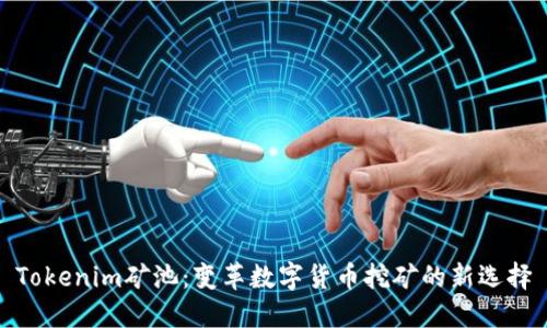 Tokenim矿池：变革数字货币挖矿的新选择