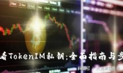 如何查看TokenIM私钥：全面