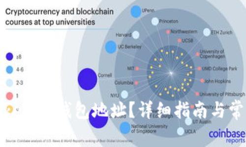 如何查询TokenIM钱包地址？详细指南与常见问题解答