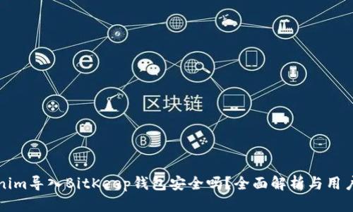 Tokenim导入BitKeep钱包安全吗？全面解析与用户指南