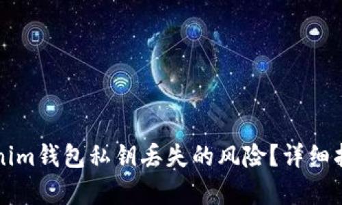 如何应对Tokenim钱包私钥丢失的风险？详细指导与恢复对策
