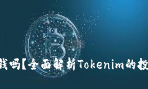 Tokenim能赚钱吗？全面解析Tokenim的投资前景与风险