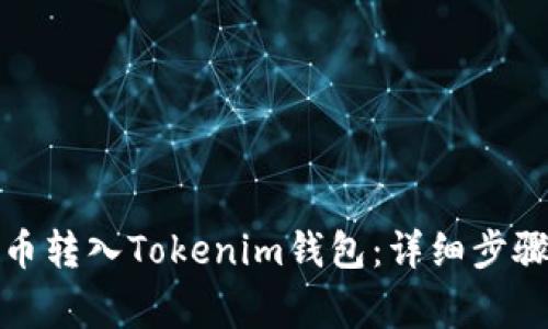如何将空气币转入Tokenim钱包：详细步骤及注意事项