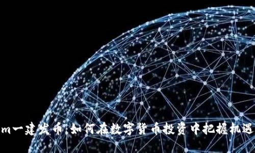 Tokenim一建发币：如何在数字货币投资中把握机遇与风险