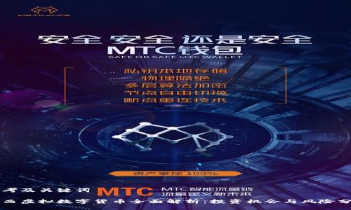 思考及关键词

莱西虚拟数字货币全面解析：投资机会与风险分析
