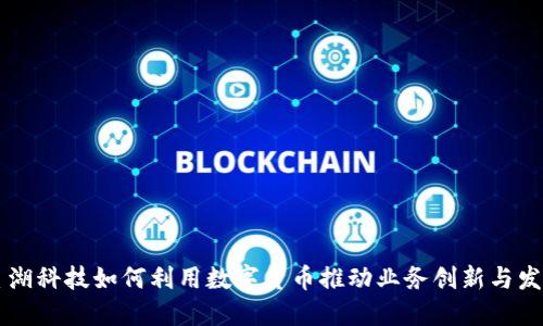 星湖科技如何利用数字货币推动业务创新与发展