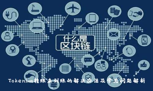 Tokenim转账未到账的解决办法及常见问题解析