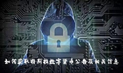 如何获取特斯拉数字货币公告及相关信息