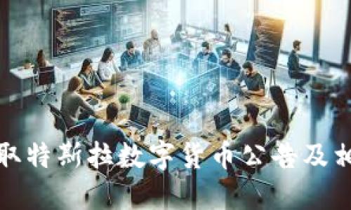 如何获取特斯拉数字货币公告及相关信息
