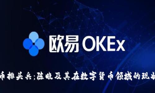 数字货币排头兵：陈晓及其在数字货币领域的现状与未来