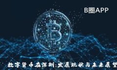     数字货币在深圳：发展