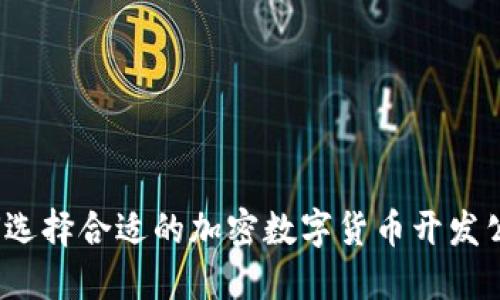如何选择合适的加密数字货币开发公司？