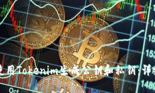 如何使用Tokenim生成公钥和私钥：详细指南