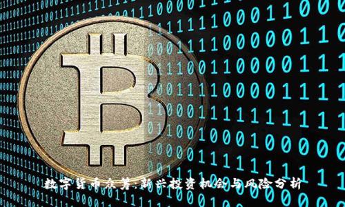 数字货币众筹：新兴投资机会与风险分析