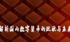 全面解析国内数字货币的