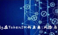 ### Pig在TokenIM的未来：风险