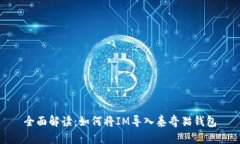 全面解读：如何将IM导入泰