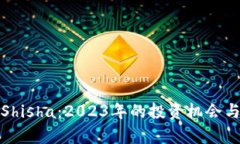 数字货币Shisha：2023年的投