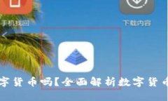 公司能投资数字货币吗？