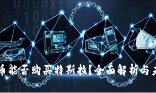 数字货币能否购买特斯拉？全面解析与未来展望