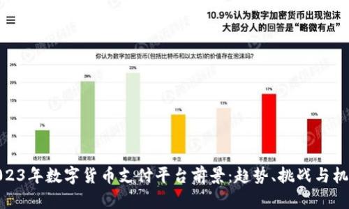 2023年数字货币支付平台前景：趋势、挑战与机遇