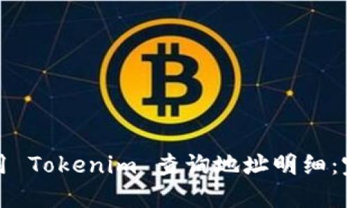如何使用 Tokenim 查询地址明细：完整指南