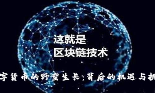 数字货币的野蛮生长：背后的机遇与挑战
