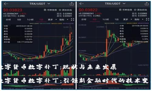 数字货币数字补丁：现状与未来发展

数字货币数字补丁：引领新金融时代的技术变革