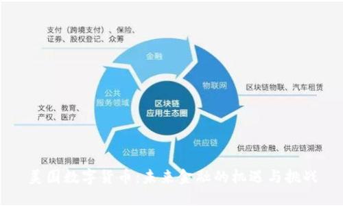 美国数字货币：未来金融的机遇与挑战