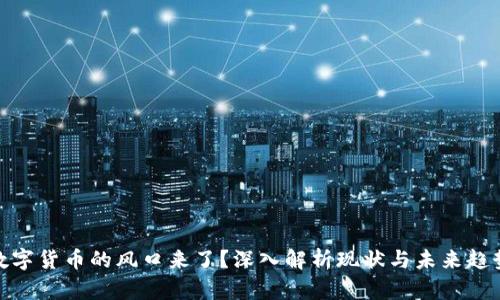 数字货币的风口来了？深入解析现状与未来趋势