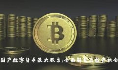 国产数字货币最大股票：全面解析及投资机会