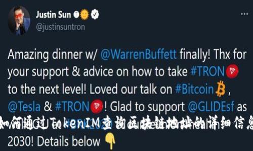 如何通过TokenIM查询区块链地址的详细信息