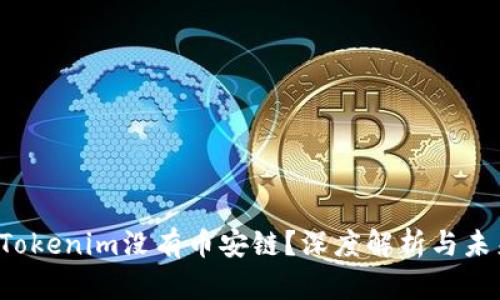  为何Tokenim没有币安链？深度解析与未来展望