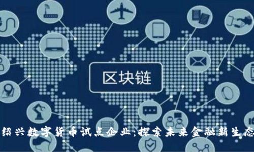 绍兴数字货币试点企业：探索未来金融新生态