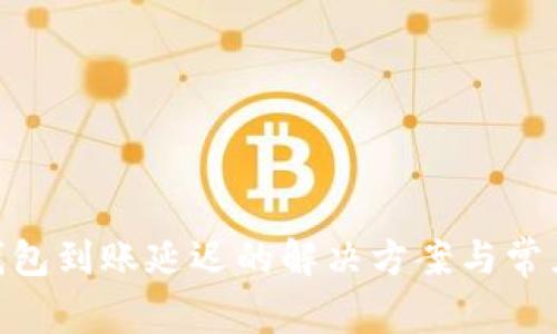 Tokenim钱包到账延迟的解决方案与常见问题解析