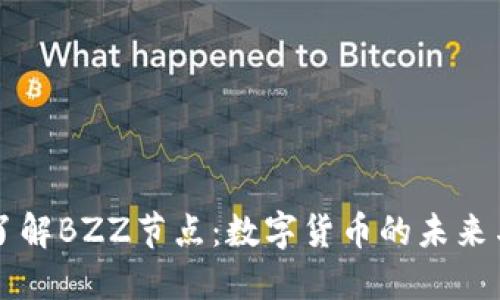 深入了解BZZ节点：数字货币的未来与应用