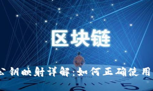 TokenIM 公钥映射详解：如何正确使用与管理公钥