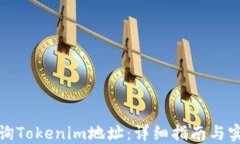 如何查询Tokenim地址：详细