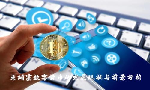 柬埔寨数字货币的发展现状与前景分析