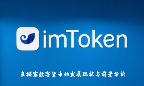 柬埔寨数字货币的发展现状与前景分析