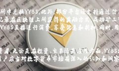   全面解析数字货币YYBS：