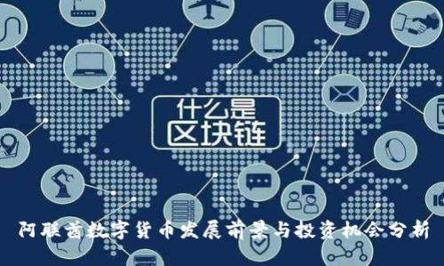 阿联酋数字货币发展前景与投资机会分析