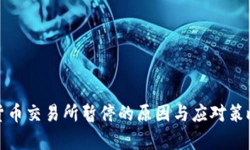 数字货币交易所暂停的原因与应对策略分析