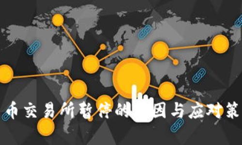 数字货币交易所暂停的原因与应对策略分析