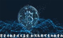 数字货币投资项目鉴定：
