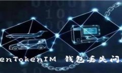 如何解决 TokenTokenIM 钱包丢