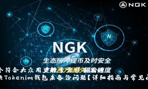 思考一个符合大众用户搜索需求并且的  
如何解决Tokenim钱包未备份问题？详细指南与常见问题解答