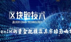 TokenIM的资金规模及其市场