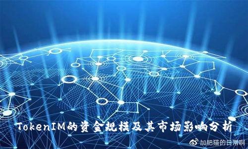 TokenIM的资金规模及其市场影响分析