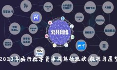2023年央行数字货币成熟的